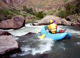 Jarbidge into Bruneau River ID