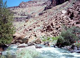 Jarbidge into Bruneau River ID