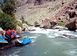 Jarbidge into Bruneau River ID