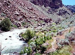 Jarbidge into Bruneau River ID