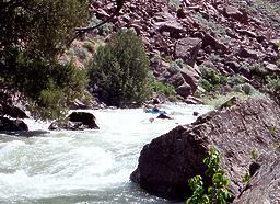 Jarbidge into Bruneau River ID