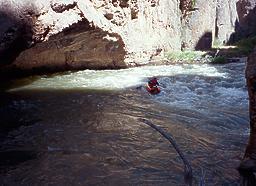 Jarbidge into Bruneau River ID