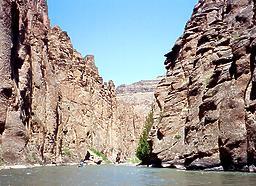 Jarbidge into Bruneau River ID