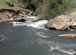 Jarbidge into Bruneau River ID