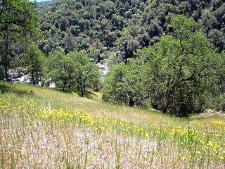 North Fork Kaweah Upper