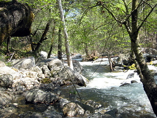 North Fork Kaweah Upper