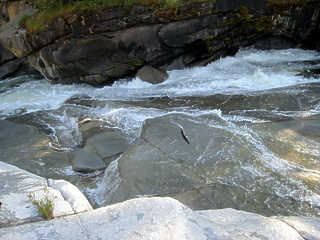 North Fork Kaweah Upper