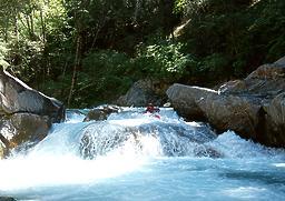 Lavezzola Creek near Downieville CA