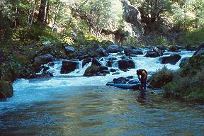 McCloud River near Bollibokka CA