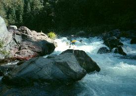 McCloud River near Bollibokka CA