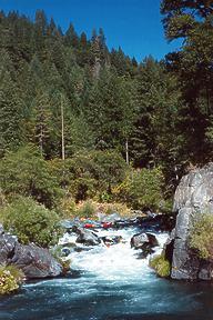 McCloud River near Bollibokka CA