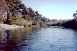 Tuolumne River from La Grage to Waterford CA