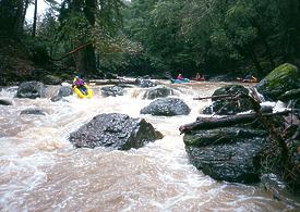 Mark West Creek near Santa Rosa CA