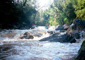 Mark West Creek near Santa Rosa CA