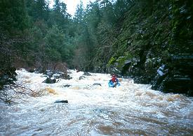 Mark West Creek near Santa Rosa CA