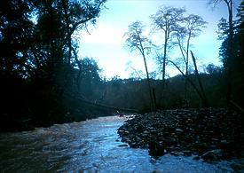 Mark West Creek near Santa Rosa CA