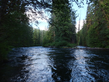 McKenzie River OR