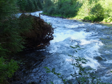 McKenzie River OR