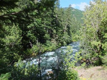 McKenzie River OR