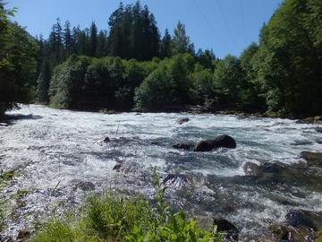 McKenzie River OR