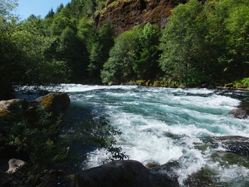 McKenzie River OR