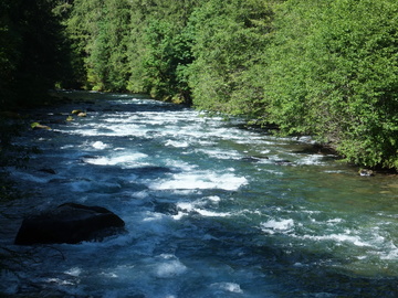 McKenzie River OR