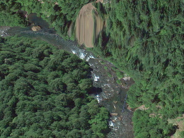 McKenzie River OR