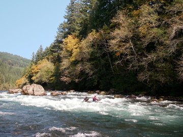 McKenzie River OR