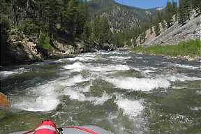 Middle Fork Salmon ID