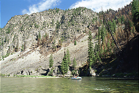 Middle Fork Salmon ID