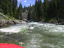 Middle Fork Salmon ID