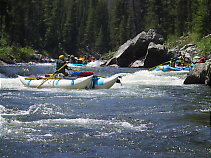 Middle Fork Salmon ID