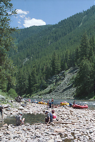 Middle Fork Salmon ID