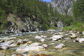 Middle Fork Salmon ID