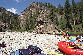 Middle Fork Salmon ID