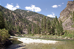 Middle Fork Salmon ID