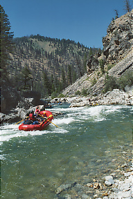 Middle Fork Salmon ID