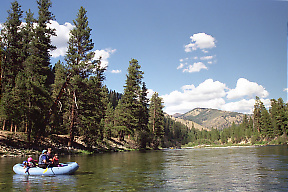 Middle Fork Salmon ID