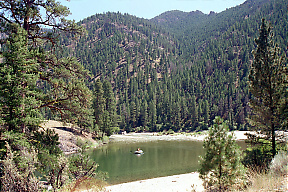 Middle Fork Salmon ID