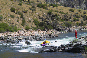 Middle Fork Salmon ID