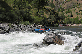 Middle Fork Salmon ID