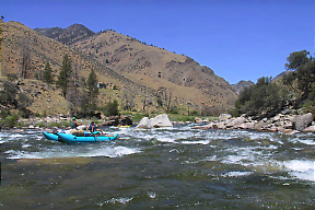 Middle Fork Salmon ID