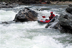 Middle Fork Salmon ID