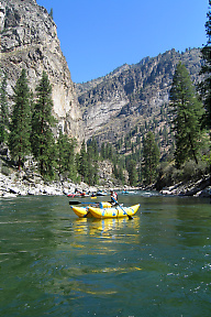 Middle Fork Salmon ID