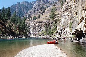 Middle Fork Salmon ID