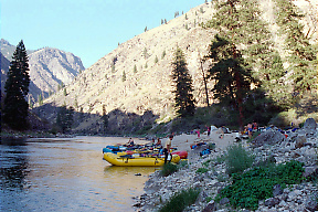 Middle Fork Salmon ID