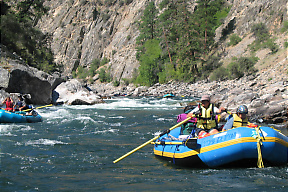 Middle Fork Salmon ID