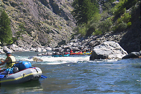 Middle Fork Salmon ID