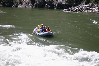 Middle Fork Salmon ID