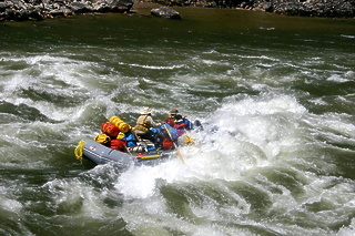 Middle Fork Salmon ID